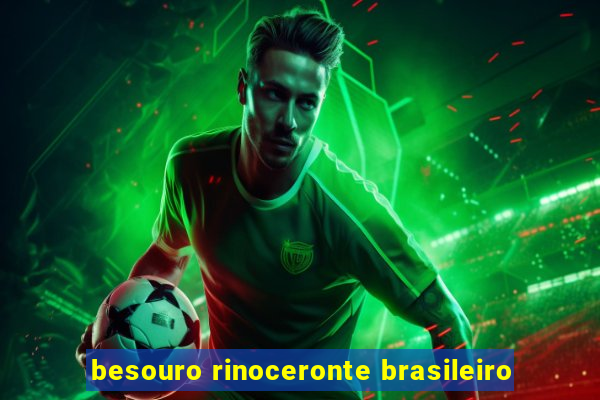 besouro rinoceronte brasileiro